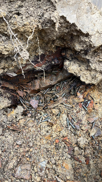 Gewehrpatronen 30M1 2024.jpg