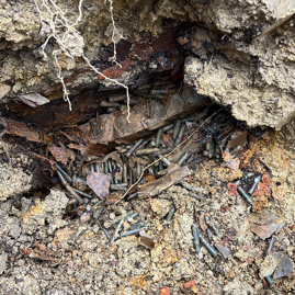 Gewehrpatronen 30M1 2024.jpg