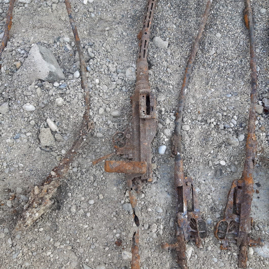 MG 81 München 2019.jpg