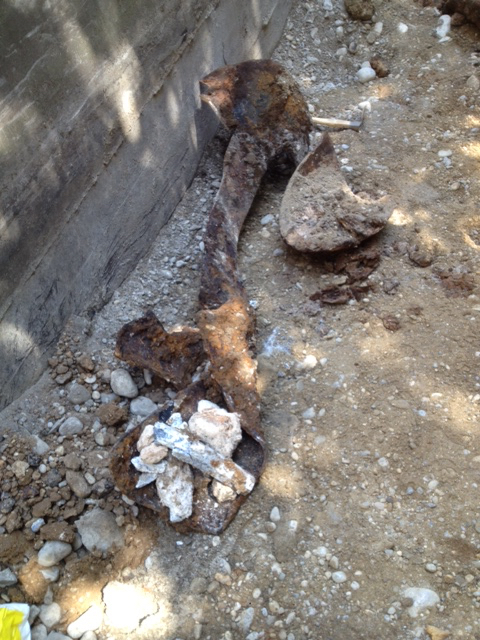 Zerscheller 500 lbs München 2016.JPG