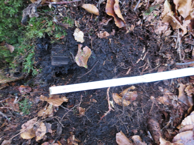 5cm Wurfgranate dt,  2014.JPG